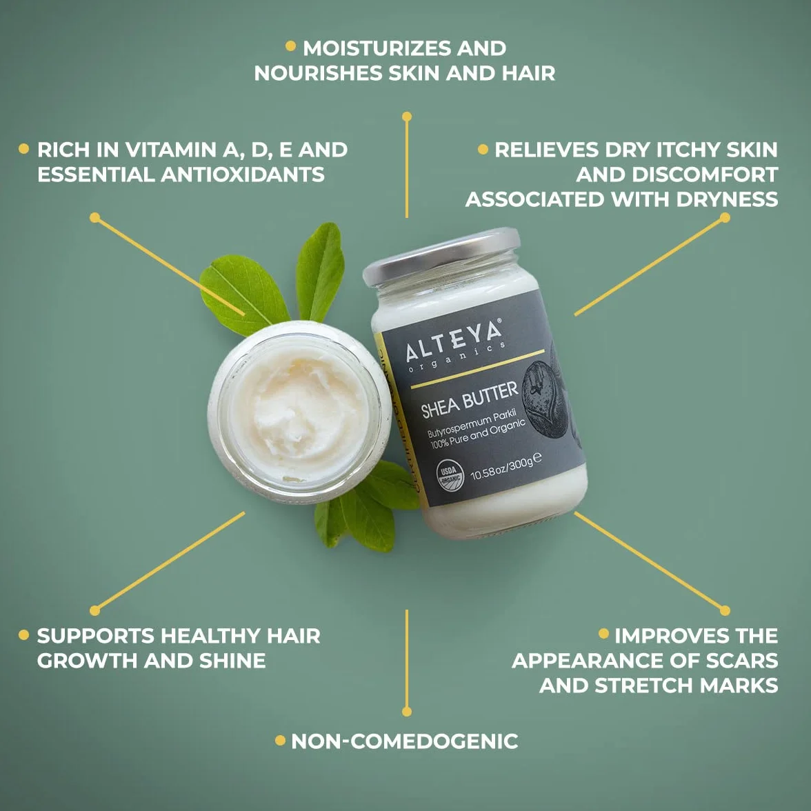 Alteya Bio masło shea 300g – 100% certyfikat USDA, czyste, naturalne rafinowane masło shea (Butyrospermum Parkii)